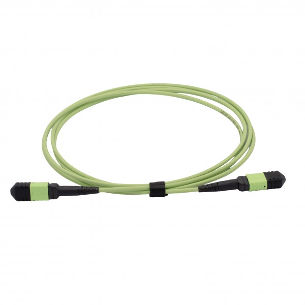 MTP-MPO Trunk Cable  OM5