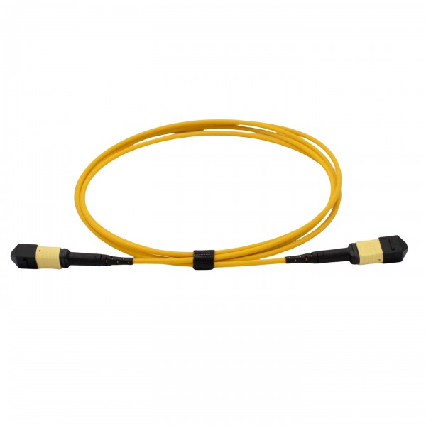 MPO/MTP Fiber Optic Cables
